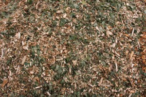 HackschnitzelProduktion & Verkauf MecklenburgVorpommern